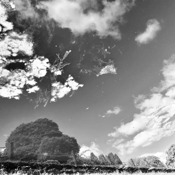 Intermediate 11-14yr_c_millie-