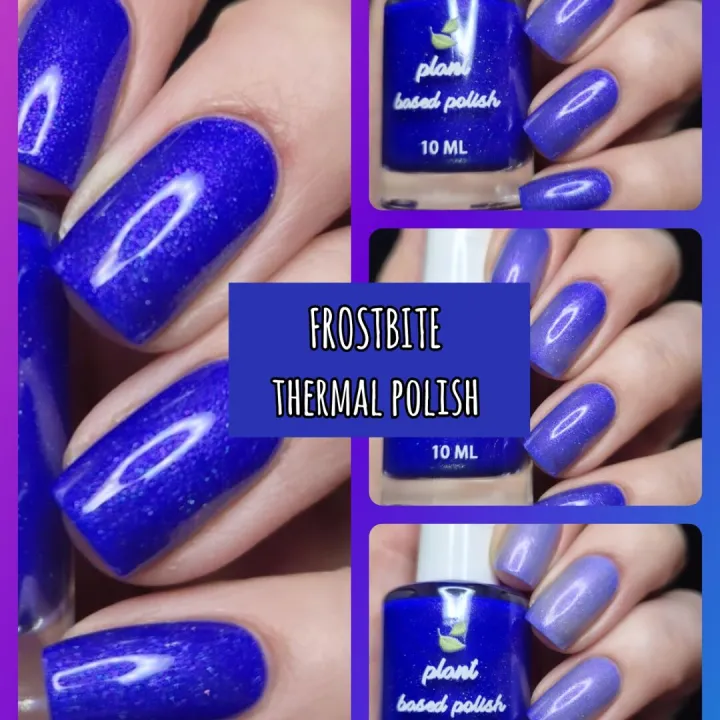 Collage_2025-01-12_06_13_48