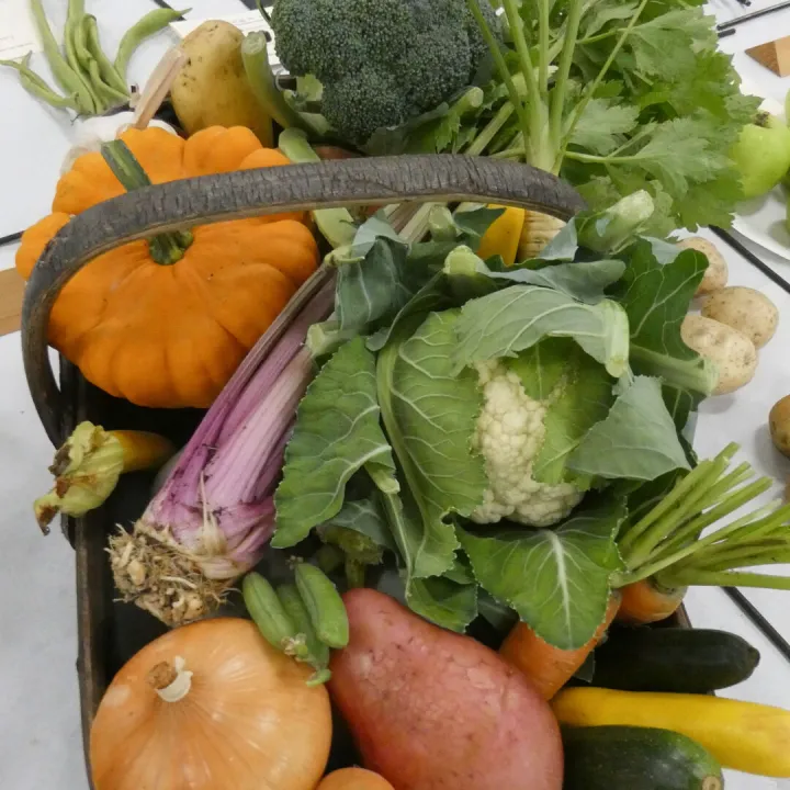 HHS Show Veg 2025_01