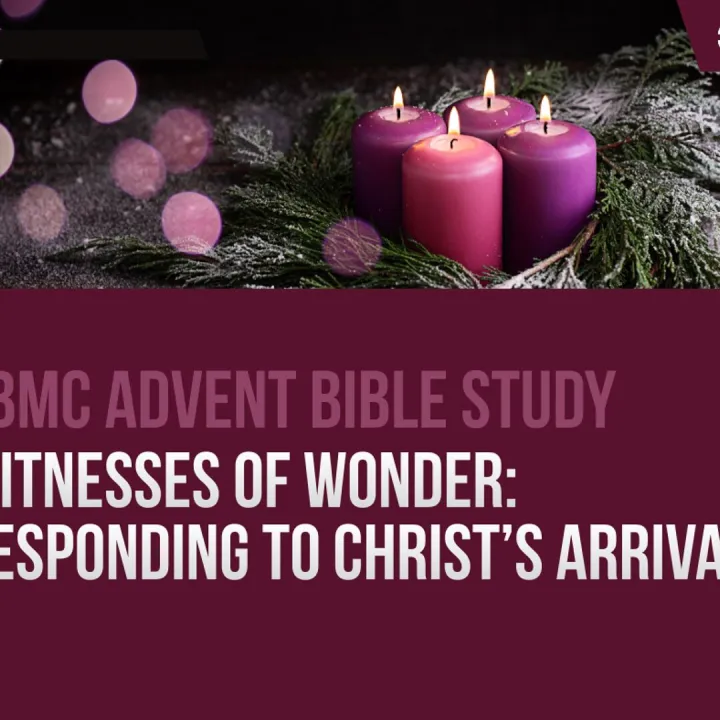 Advent bible basic image