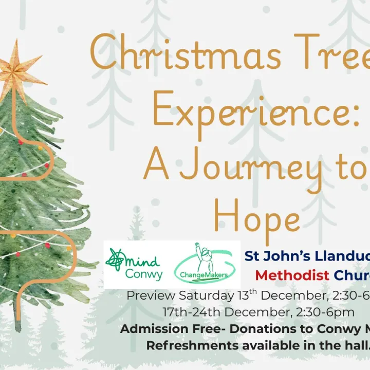 Christmas Tree Experience- A Journey to Hope