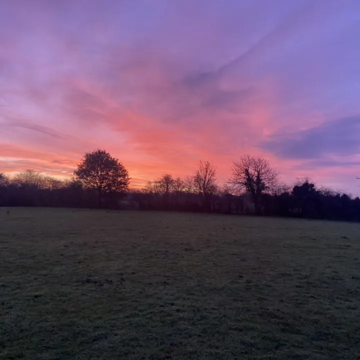 01451c24-7757-41e6-Abc5-535708bae9c8_1_105_c