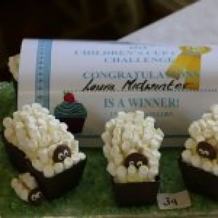 cupcakes infant winner
