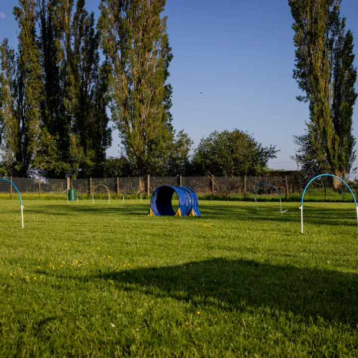 Hoopers Field 3