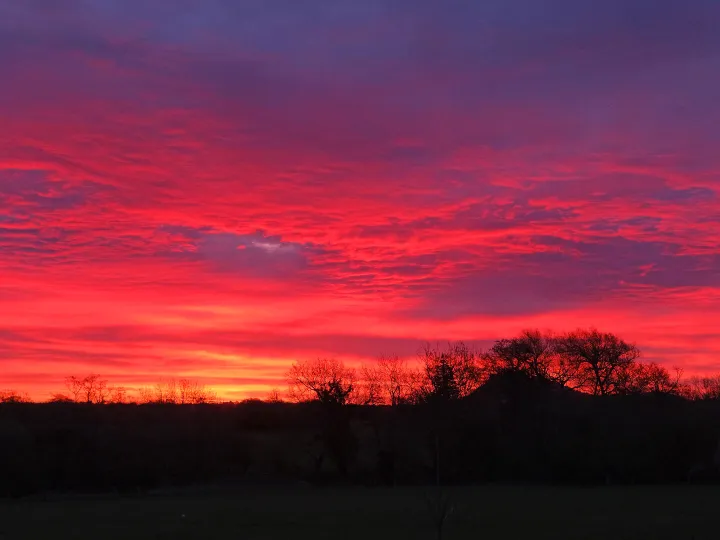 RR Shepherd's Warning F9184