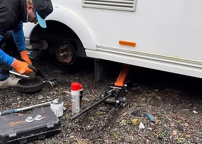 Hab Check 6 Repair