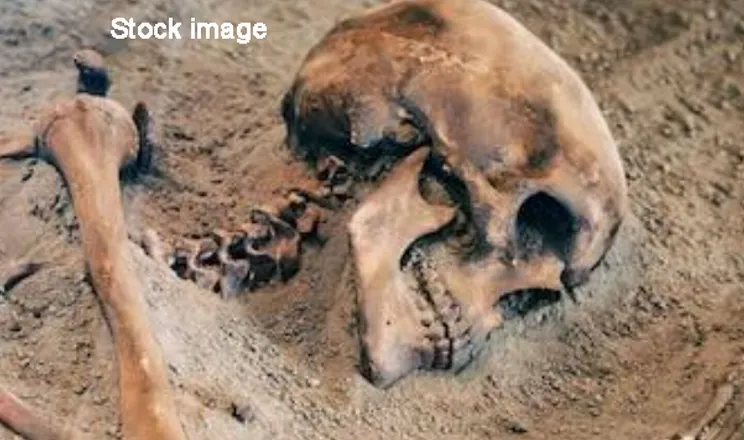 Skeleton_stock Image