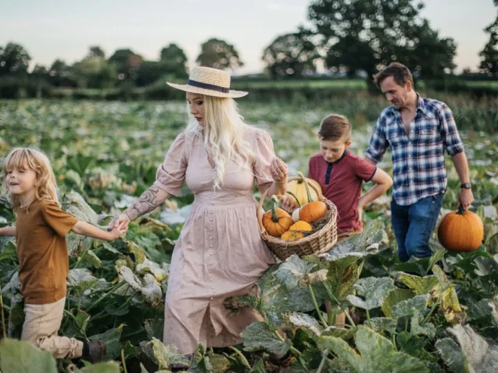 Family Pumpkin Picking Experience