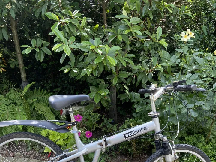 Items for sale &ndash; Folding bike &pound;30