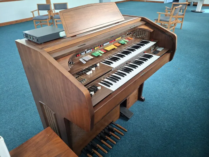 Organ