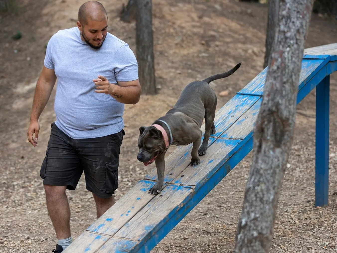 Male dog trainer outdoors with dog during session