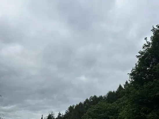 Langsett 4