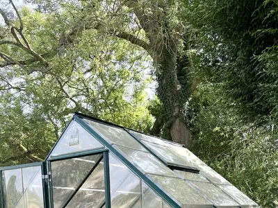 Items for sale &ndash; Greenhouse carolhumphreys302@yahoo.co.uk