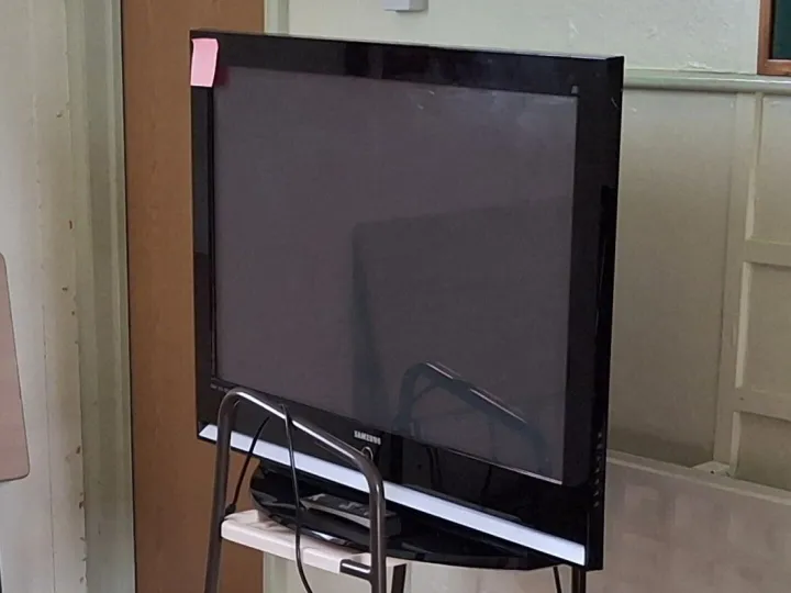 Television