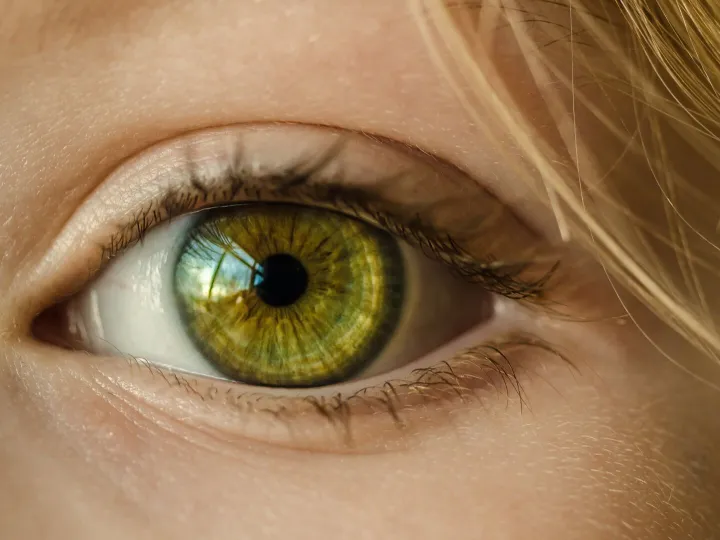 Clickerhappy-Eye-1132531