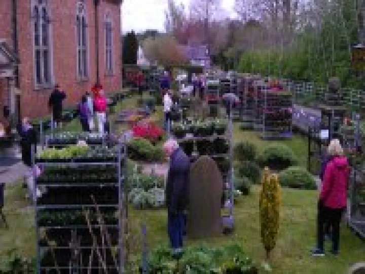 2015 Plant sale