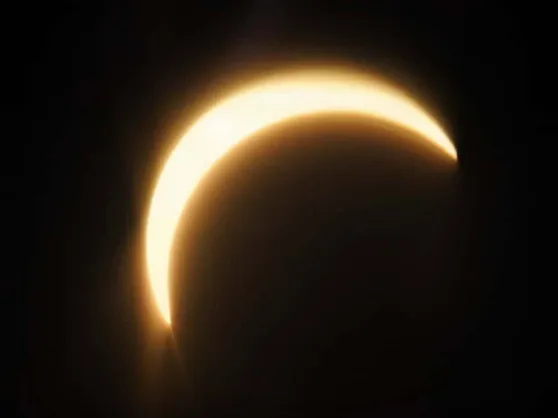 Eclipse Matthew Lamb