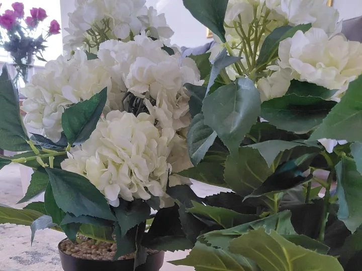 Items for sale &ndash; Hydranger artificial plants &pound;10
