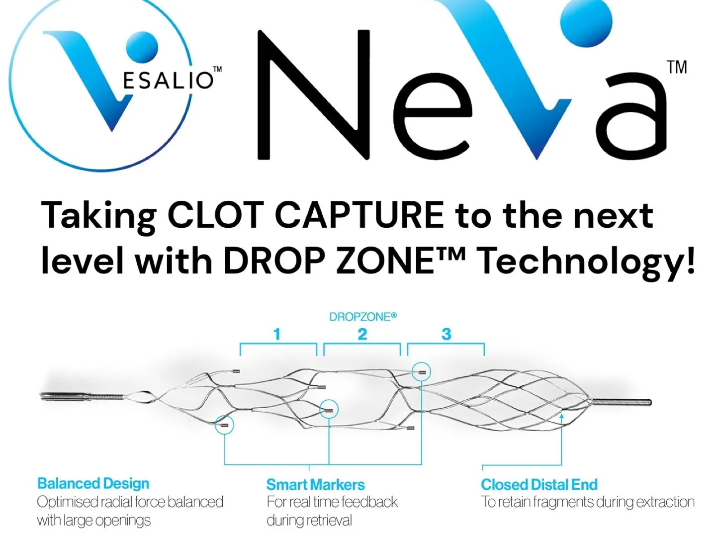 Endovascular-Neva