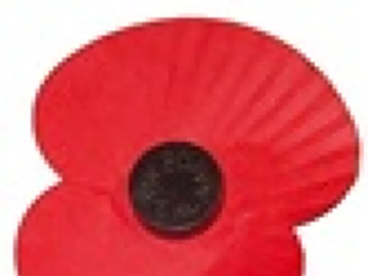 Poppy 25