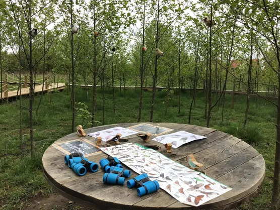 Binoculars and bird identification charts on a table among young trees and nest boxes