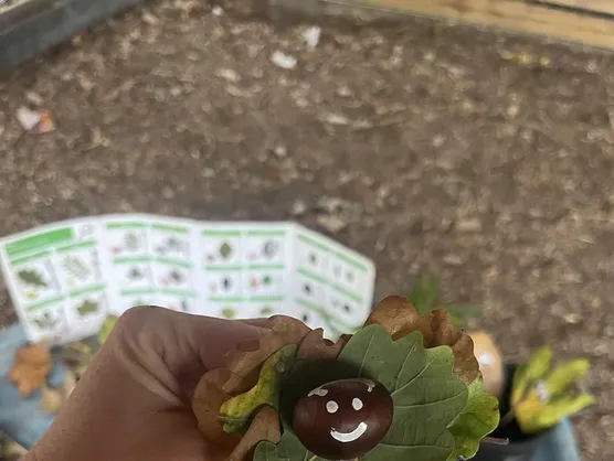 A hand holding a leaf and a conker made into a smiling face