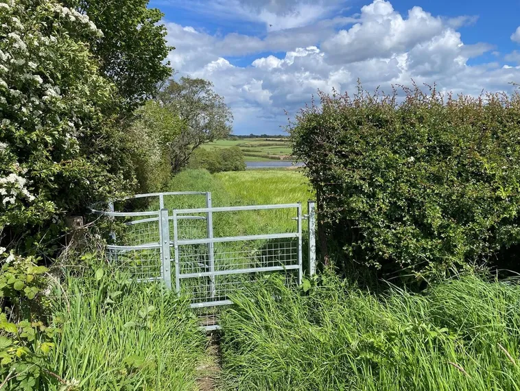 Galvanised metal kissing gate set in a hawthorn hedge, with a green crop field and distant farmland beneath a cloudy sky