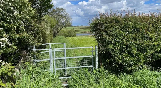 Galvanised metal kissing gate set in a hawthorn hedge, with a green crop field and distant farmland beneath a cloudy sky