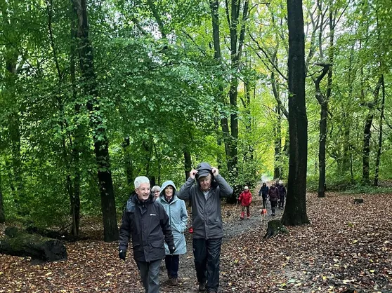 Second Walk 12