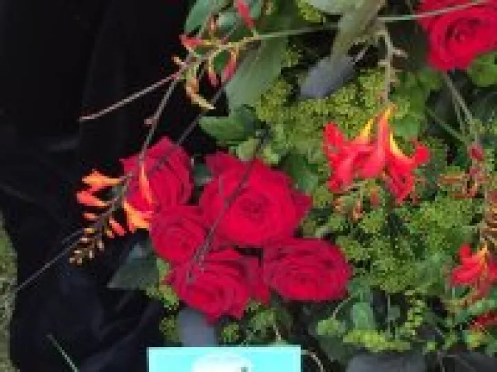 Nantwich Show 2015