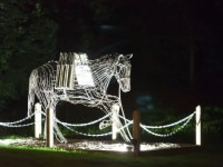 Floodlighting-3