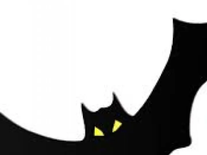 Bat5