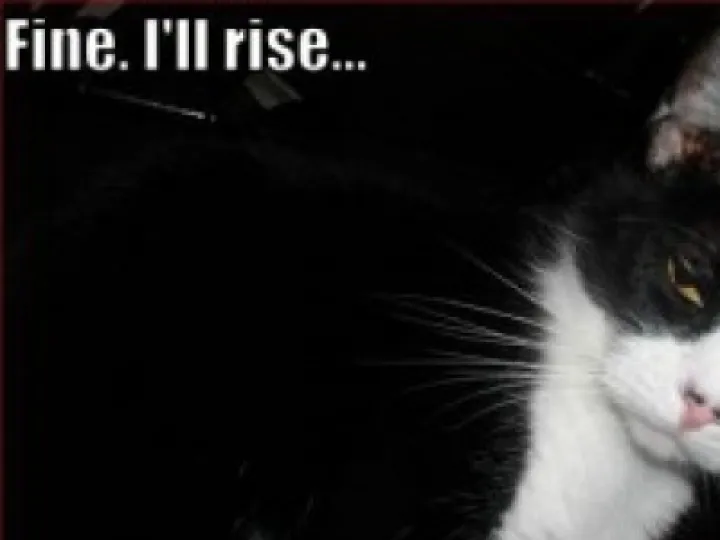 rise-and-shine