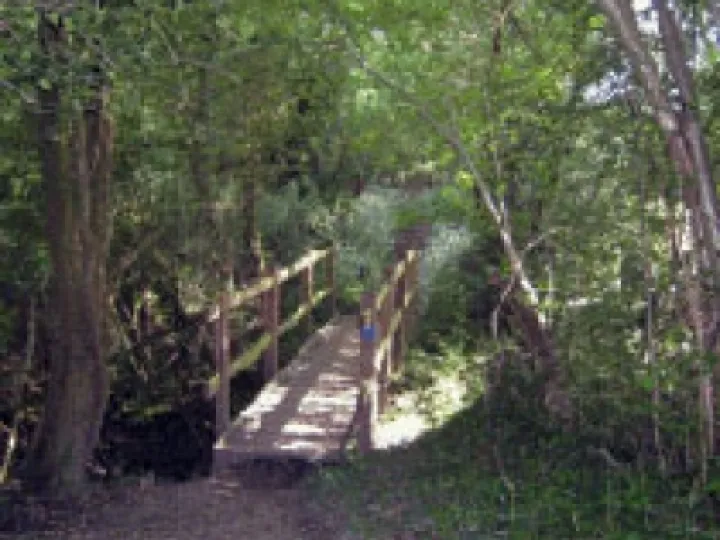 footpaths