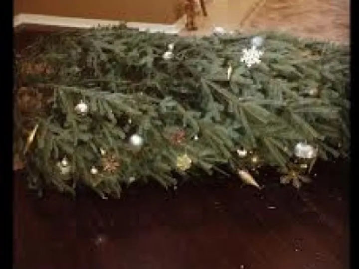 naff tree 3