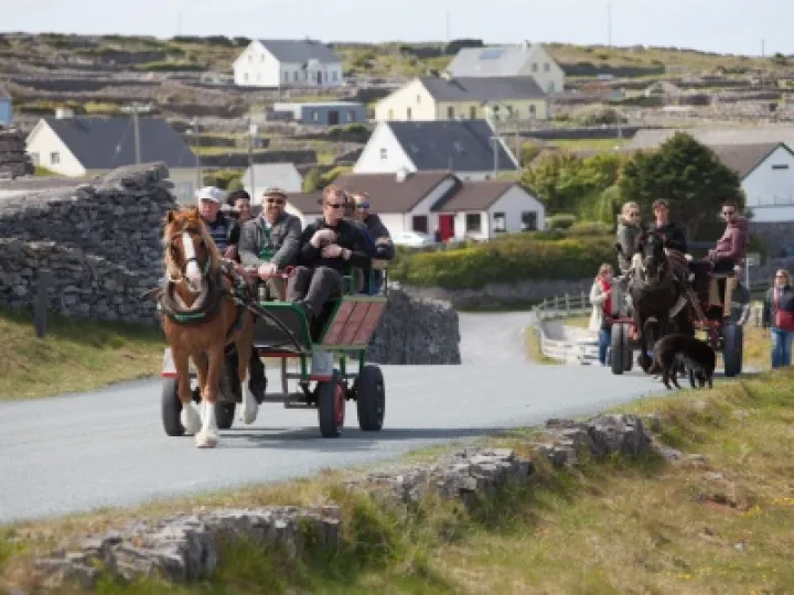 Community-Transport