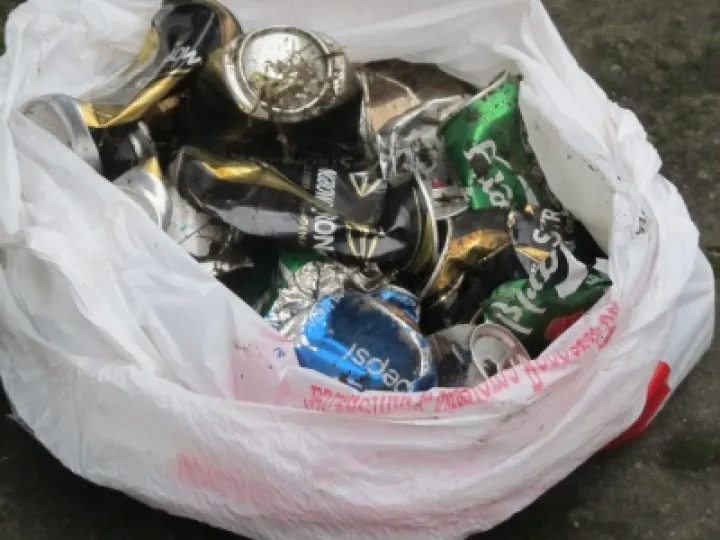 Litter2 (1)