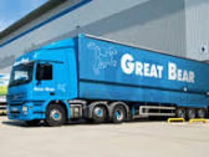 Great Bear