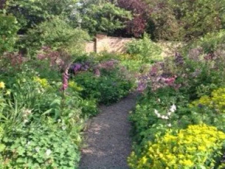 garden 1