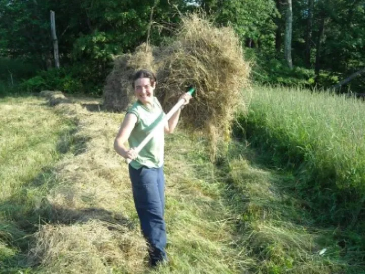 Haystack 03