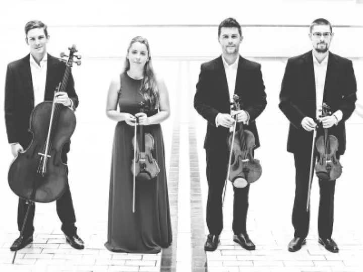 Zelkova Quartet