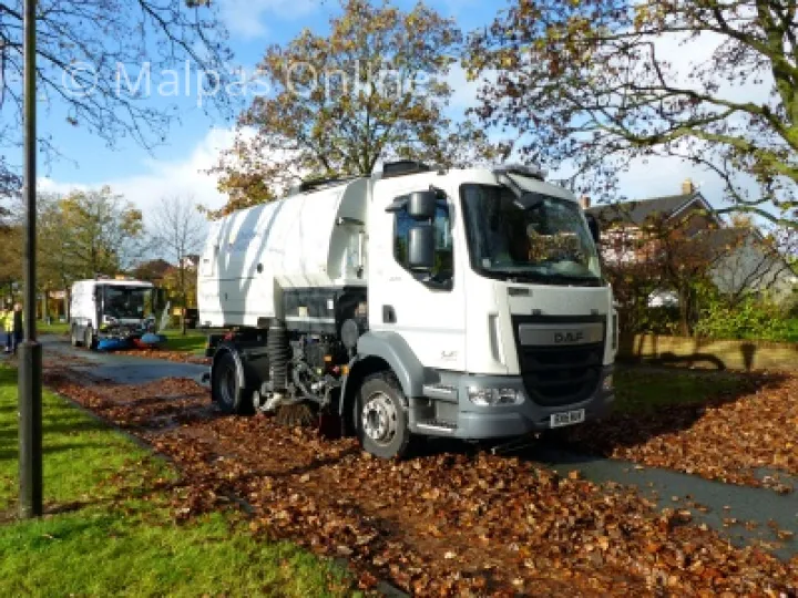 Leaf clearance