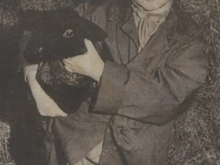 New Lamb