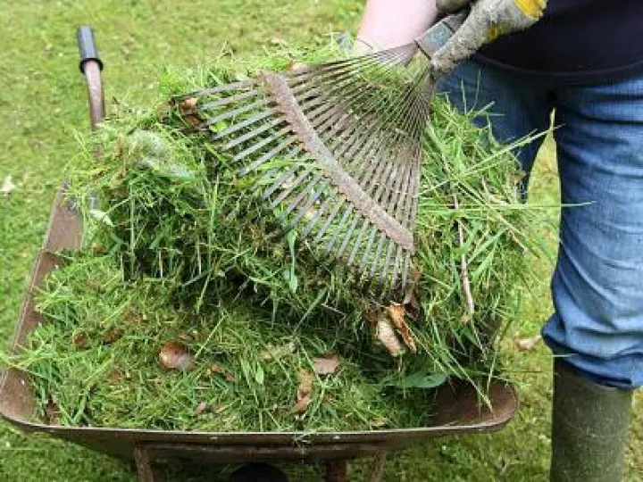 Grass Cuttings 01