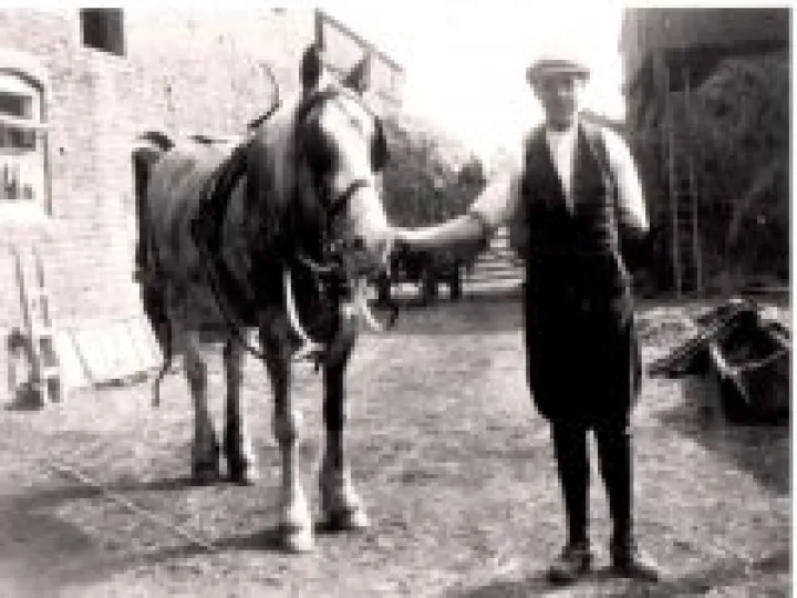 Tarvin People