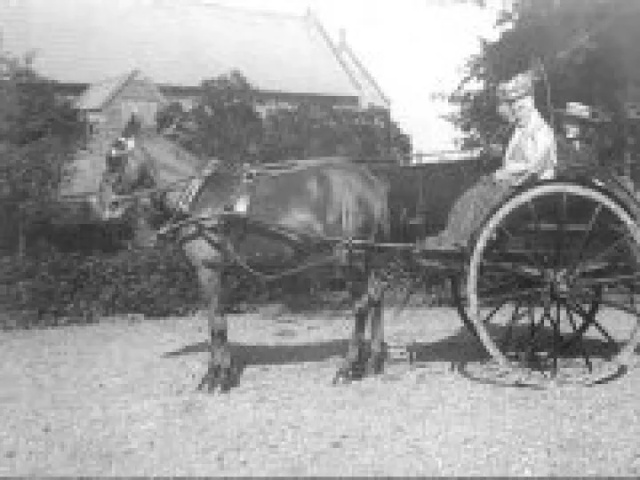 Tarvin People