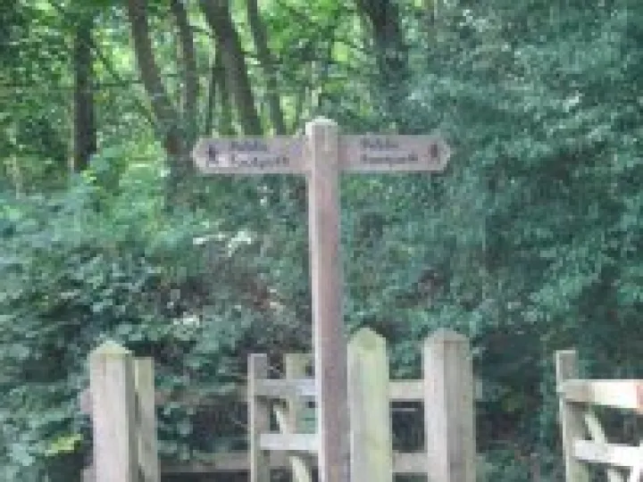 Community Woodland