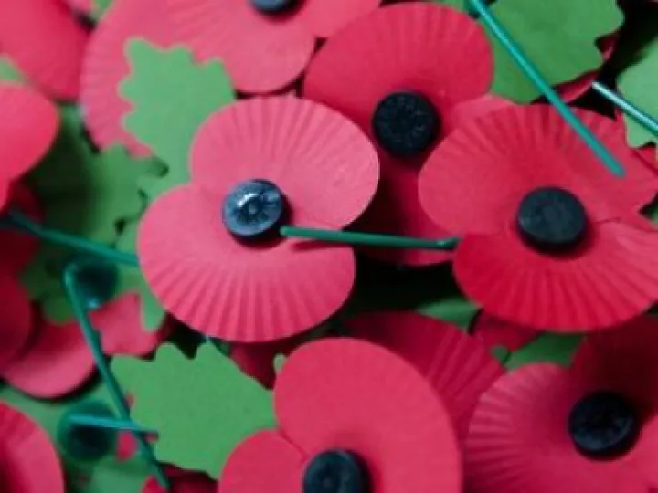 red-poppy