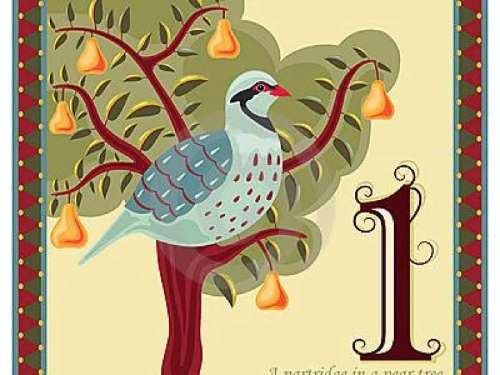 Partridge pear tree