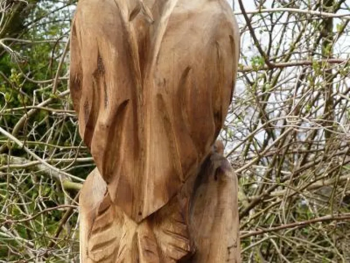 NewBuzzard_1